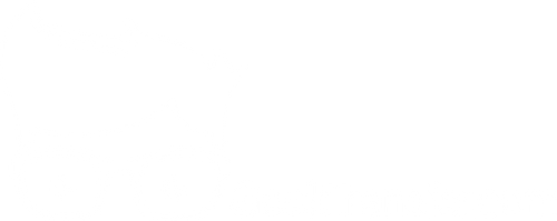 Geek Transfer